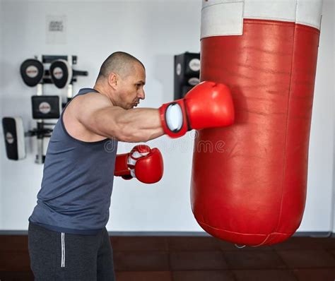 Boxer training in a gym stock photo. Image of male, sport - 85229190