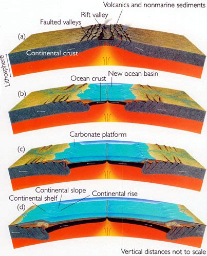 [DIAGRAM] Ocean Rift Diagram - MYDIAGRAM.ONLINE