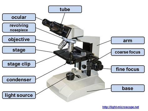 parts & components of a light microscope - YouTube