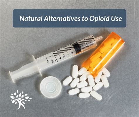 Opioid Use Leads to Heroin Abuse: Natural Alternatives - Natural Health ...