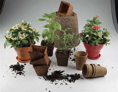 Switch to pots that are environmentally friendly - San Antonio Express-News