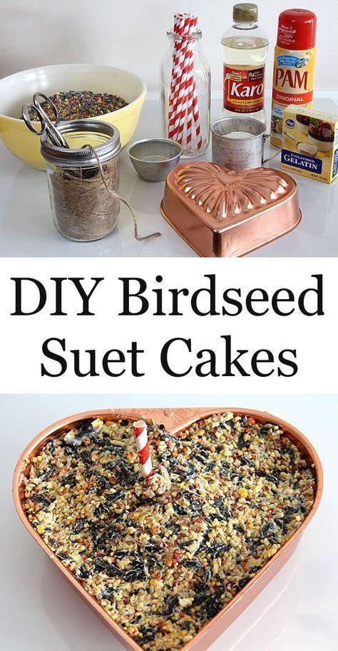 DIY Birdseed Suet Cakes for the birds this winter. Suet Recipe, Do It ...