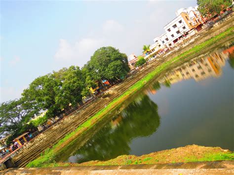 Perumal Kovil Kulam, Selaiyur (Waterbodies of Chennai - 15)