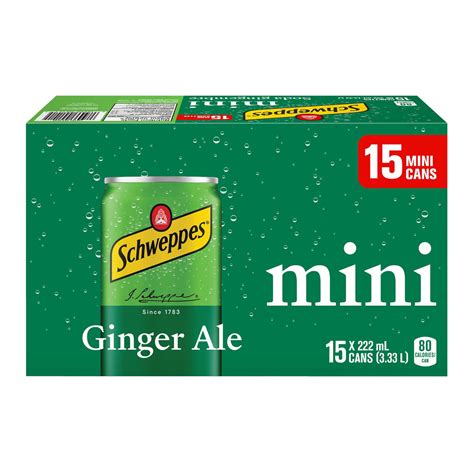 Schweppes Ginger Ale, 15 x 222 mL mini cans | Walmart Canada