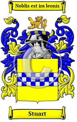 Stuart Name Meaning, Family History, Family Crest & Coats of Arms