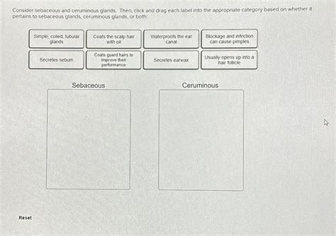 Solved Consider sebaceous and ceruminous glands. Then, click | Chegg.com
