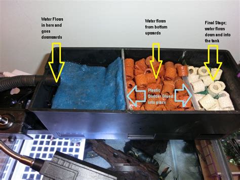 How To Make A Sump Filter For Aquarium - Aquarium Views