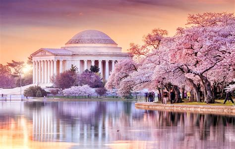 Thomas Jefferson, Jefferson Memorial, Washington Dc, Cherry Blossom Season, Cherry Blossoms ...