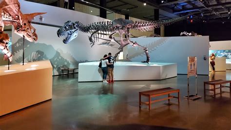 Houston Museum Of Natural Science General Admission | 365 Things to do in Houston
