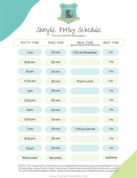 Puppyhood Made Easy for New Owners: Create a Puppy Potty Schedule ...