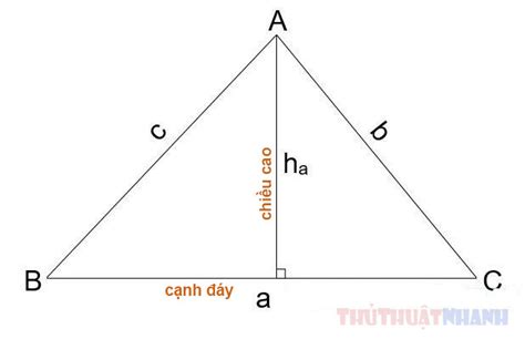 Cách tính diện tích tam giác (thường, vuông, cân, đều) dễ nhớ dễ thuộc