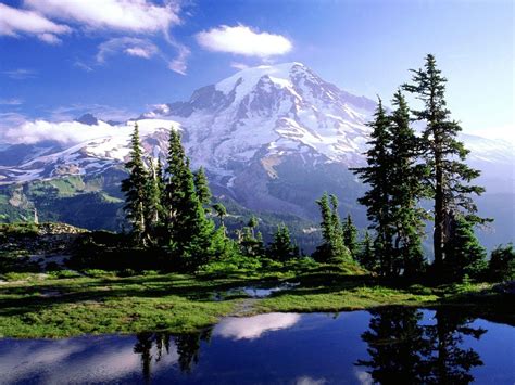 Mt. Rainier Wallpapers - Top Free Mt. Rainier Backgrounds - WallpaperAccess