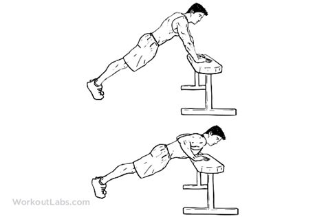 Incline Push-ups / Pushups | WorkoutLabs