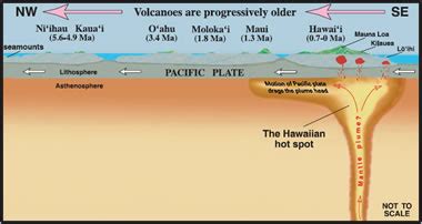 Plate Tectonics and the Hawaiian Hot Spot