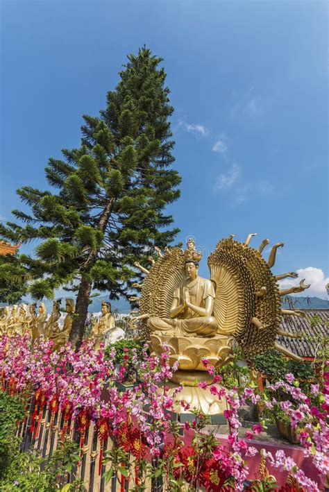 Ten Thousand Buddhas Monastery in Hong Kong Stock Photo - Image of ...