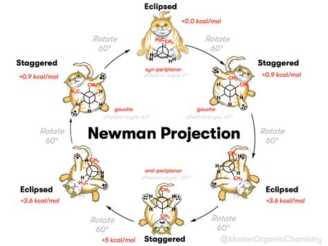 Newman Projection of Butane (and Gauche Conformation)