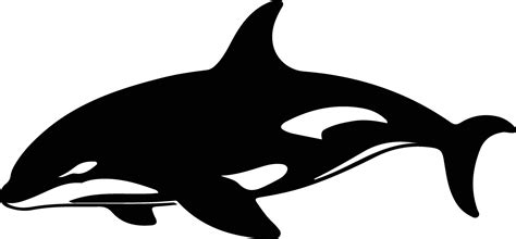 orca black silhouette 38102041 Vector Art at Vecteezy