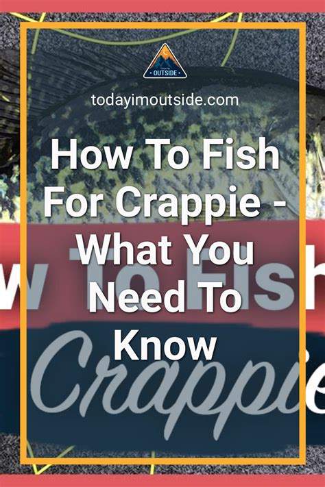 How To Fish For Crappie - What You Need To Know | Crappie, Catfish fishing, Crappie fishing tips