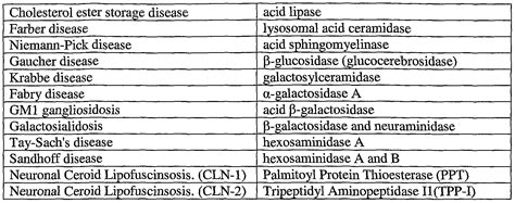 Cholesterol ester storage disease