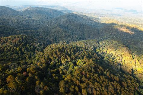 high angle view of forest and mountains in summer 6995316 Stock Photo ...