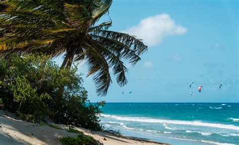 Amber Cove River Tubing and Caberete Beach | Dominican Republic Shore ...