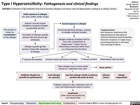 Type I Hypersensitivity: Pathogenesis and clinical findings | Calgary Guide