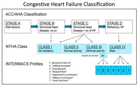 AHA Stages Of Heart Failure