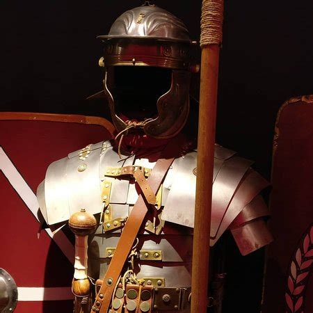 Gladiator Museum (Rome) - 2019 All You Need to Know BEFORE You Go (with Photos) - TripAdvisor