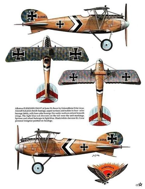 Albatros D.III | Vintage aircraft, Ww1 aircraft, Reconnaissance aircraft