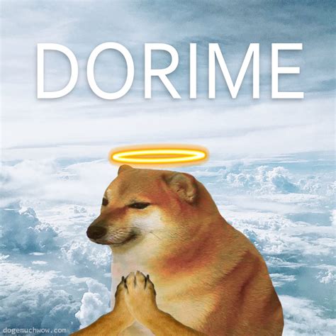 Dorime Interimo Adapare 🙏 | Doge Much Wow