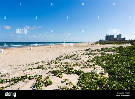 Beach at the southern end of South Padre Island, near Brownsville ...