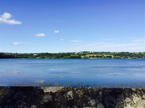 Blagdon Lake - Bristol dog walk - Bristol Barkers