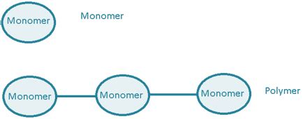 Monomer Definition and Examples - Biology Online Dictionary