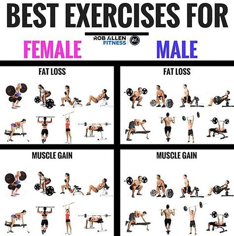 Best Workouts For Weight Loss At Gym A Comprehensive Guide - Cardio Workout Exercises