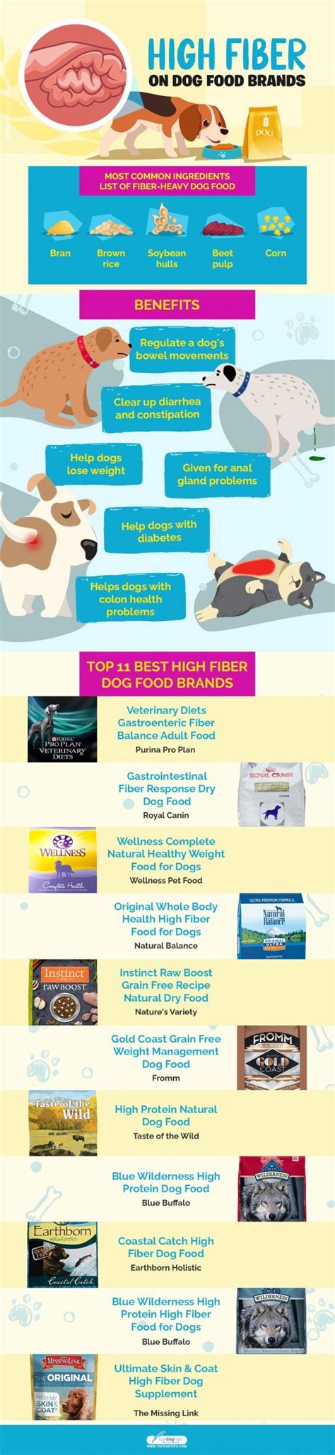 11 Best High Fiber Dog Food Brands (Digestion & Anal Glands)