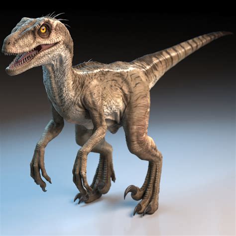 raptor dinosaur 3d model