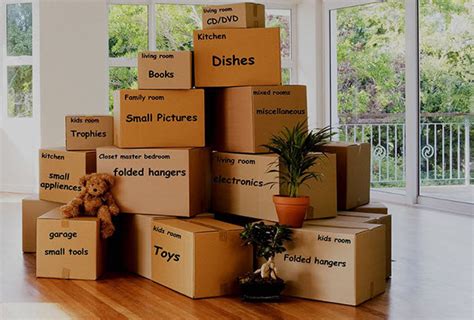 When to start packing – tips from professional furniture movers - Auckland Moving Professionals