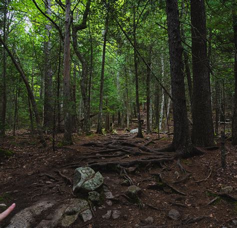 Acadia National Park on Behance