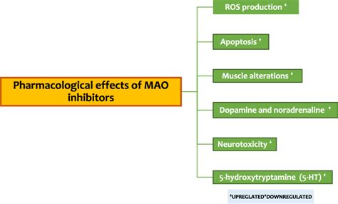 Pharmacological effects of MAO inhibitors. | Download Scientific Diagram