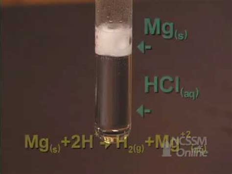 Magnesium And Hcl Reaction