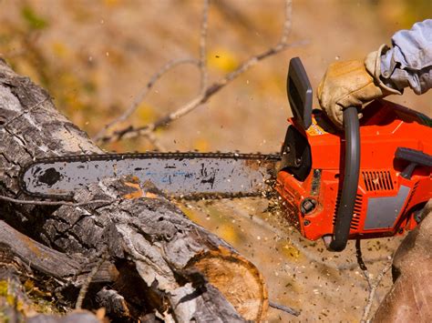 10 Top Basic Chainsaw Chain Types - A To Z Options Guide