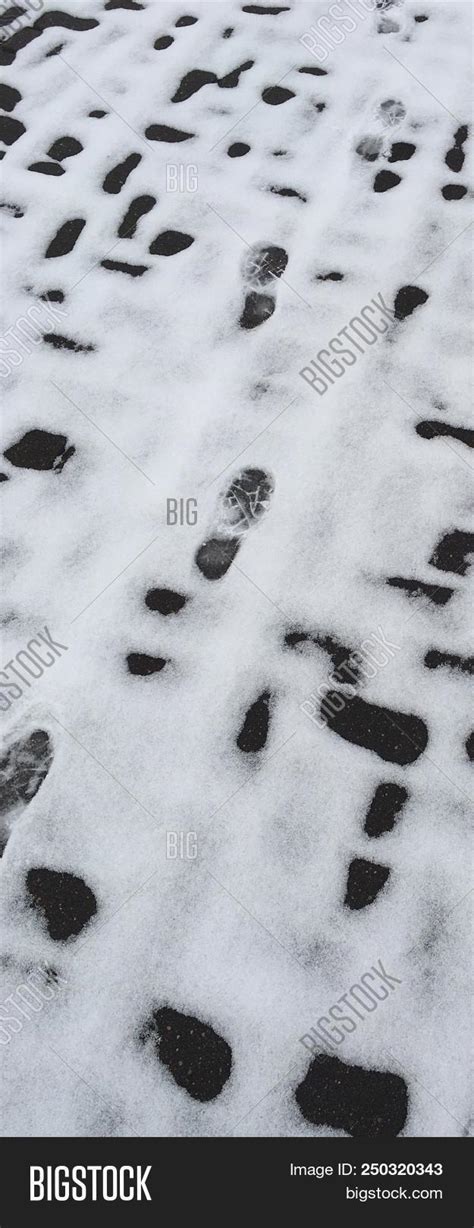 Shoeprints Snow - Image & Photo (Free Trial) | Bigstock