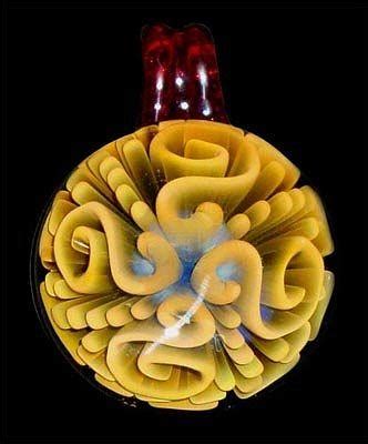 Scroll Implosion Pendant Glass Art by Laurie Young | Fine Art America