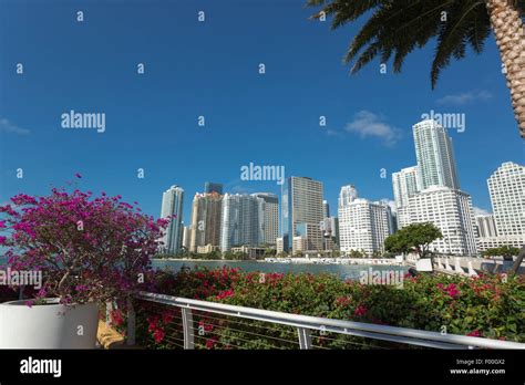 BRICKELL SKYLINE DOWNTOWN MIAMI FLORIDA USA Stock Photo - Alamy