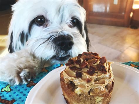 Planet Kelsey: Pupcake recipe