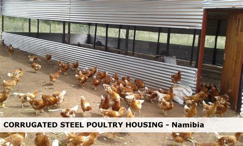 Broiler housing in Oshana region, Namibia | Poultry house, Poultry ...