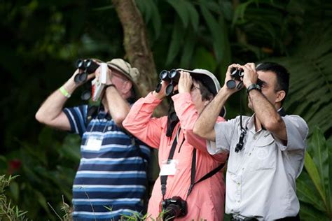 Birdwatching Costa Rica | Best 4 Birdwatching Destinations