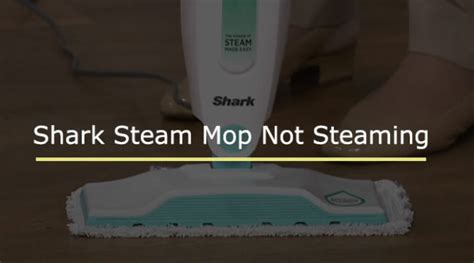 Shark Steam Mop Not Steaming - Troubleshooting - Vacuumist