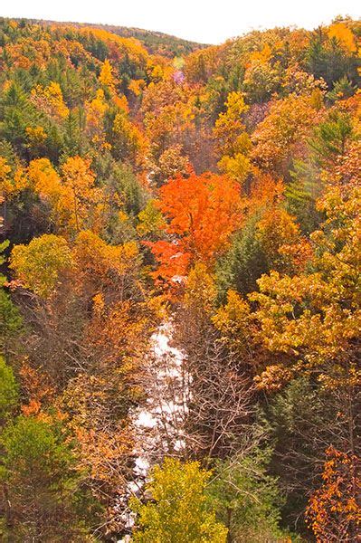 Fall foliage, Acadia National Park #acadia #maine #fall #foliage by Ghee Lip Ong Acadia National ...