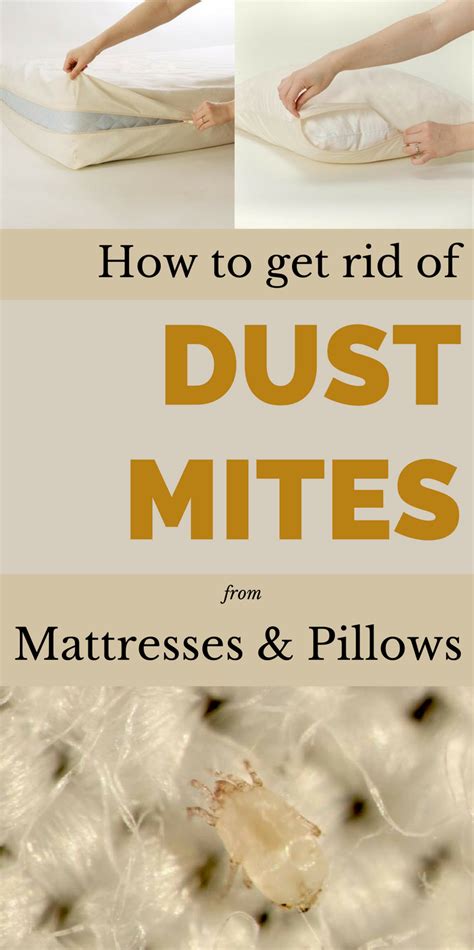 How to Get Rid of Dust Mites From Mattresses and Pillows ...